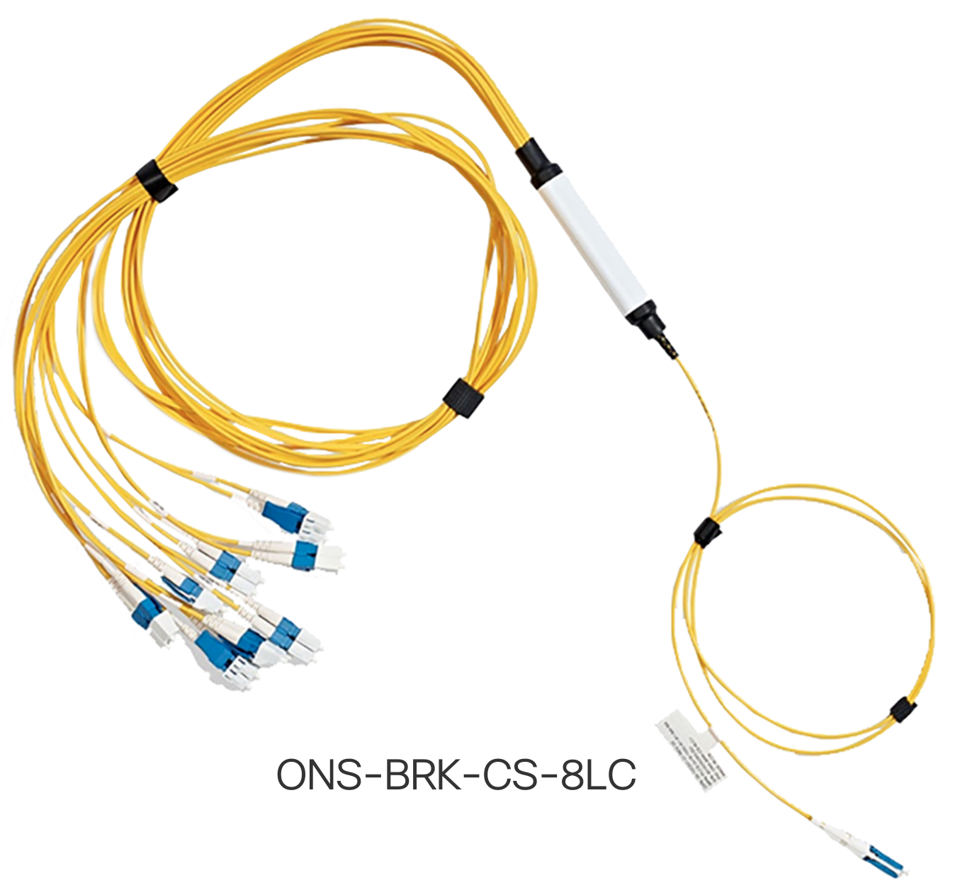 Cisco Routed Optical Networking | Design | XRdocs