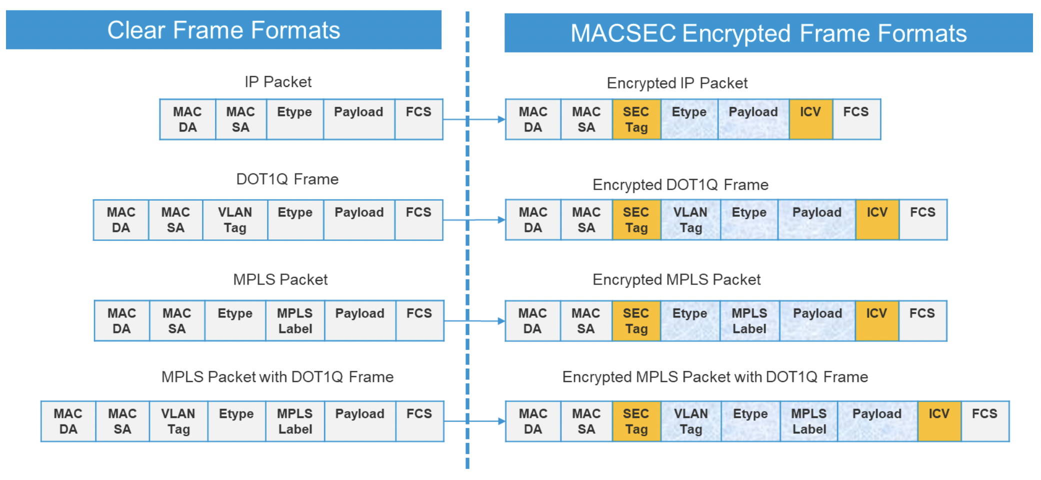 MACsec on NCS-5500 - Technology and Platform Overview | Ncs5500